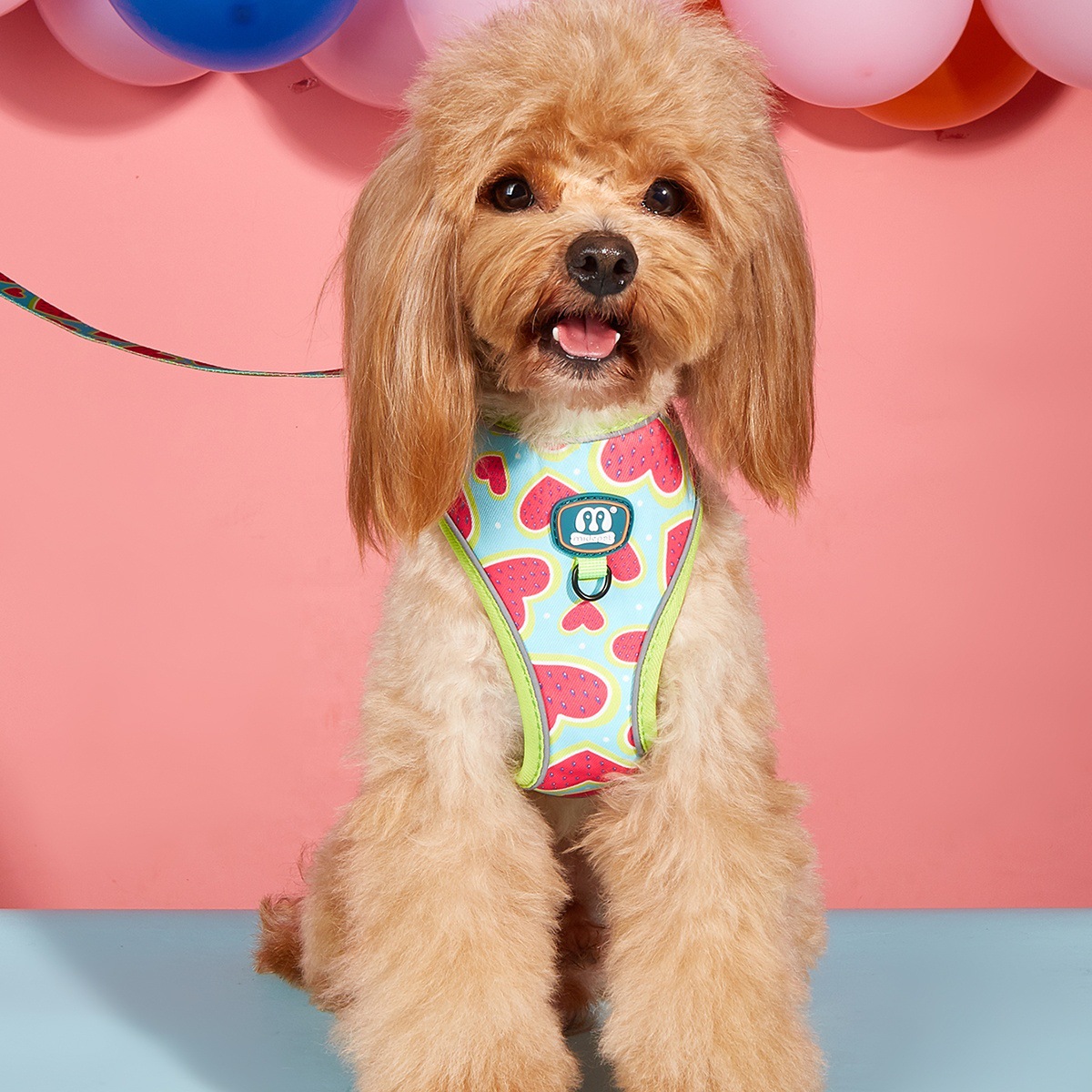 Maidi Cross-border New product Pet dog and cat fashionable leash, chest and back strap, fashionable printed with reflective strips, adjustable pet chest and back strap, dog walking leash, cat leash pic 5