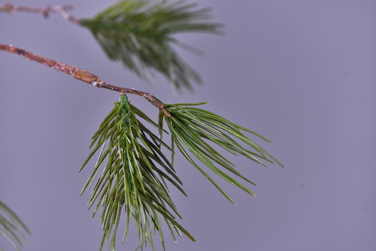 Wholesale of original factory imitation pine needles, home furnishing mall, wedding Zen-themed imitation plant decorative items, imitation pine branches pic 8