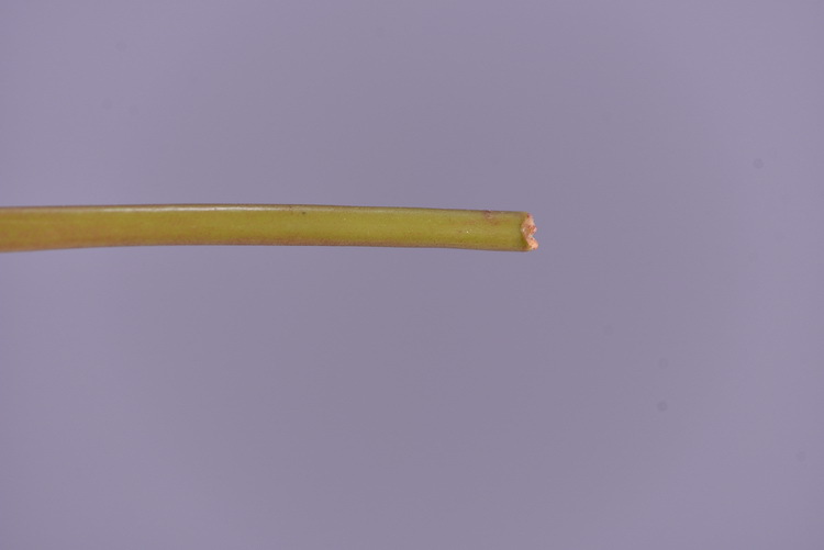 Wholesale of artificial small mountain fruit, wintergreen fruit, deep purple artificial berries, living room home soft decoration, and money fruit from the original factory pic 12