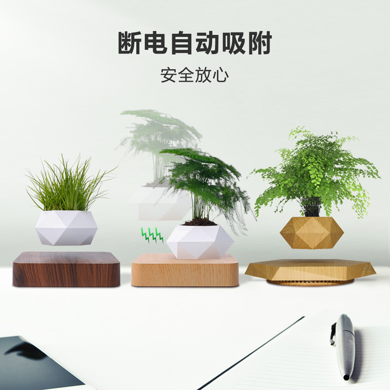 桌面植物盆栽批发室内绿植仿真可种多肉花苗diy欧式ins风植物摆件详情8