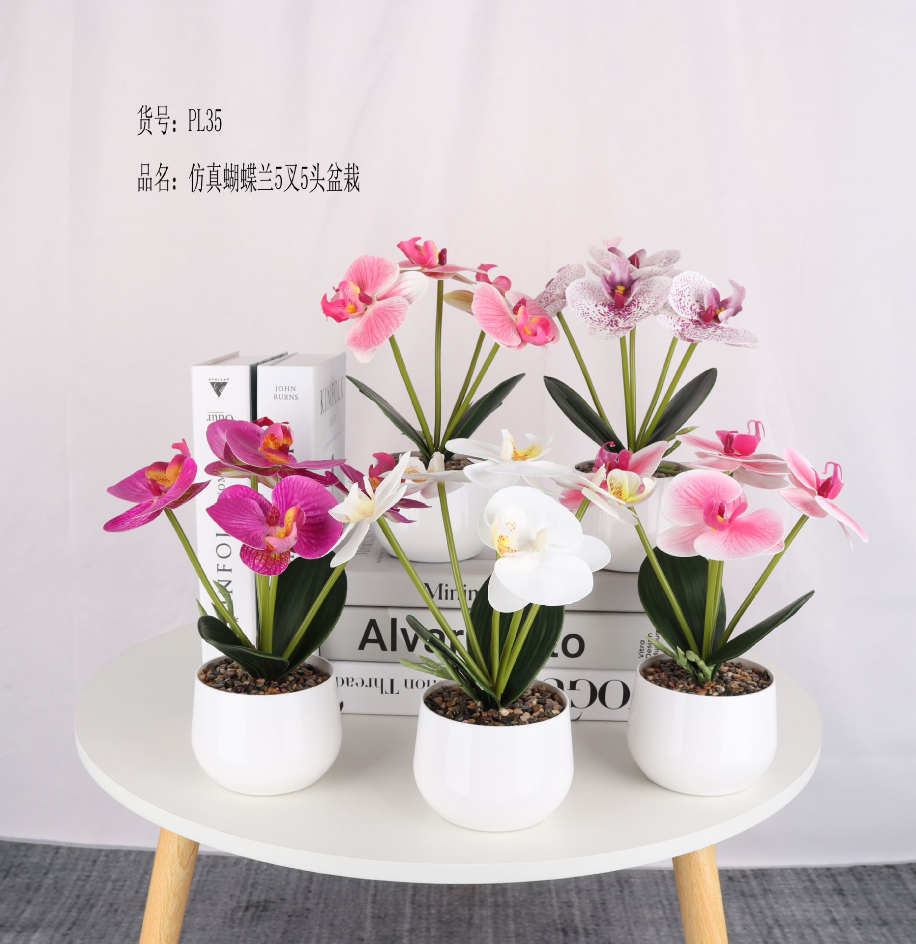 Simulated Phalaenopsis 5-fork 5-head potted plant/simulated bonsai/simulated flower creative indoor small ornaments/Amazon factory pic 1
