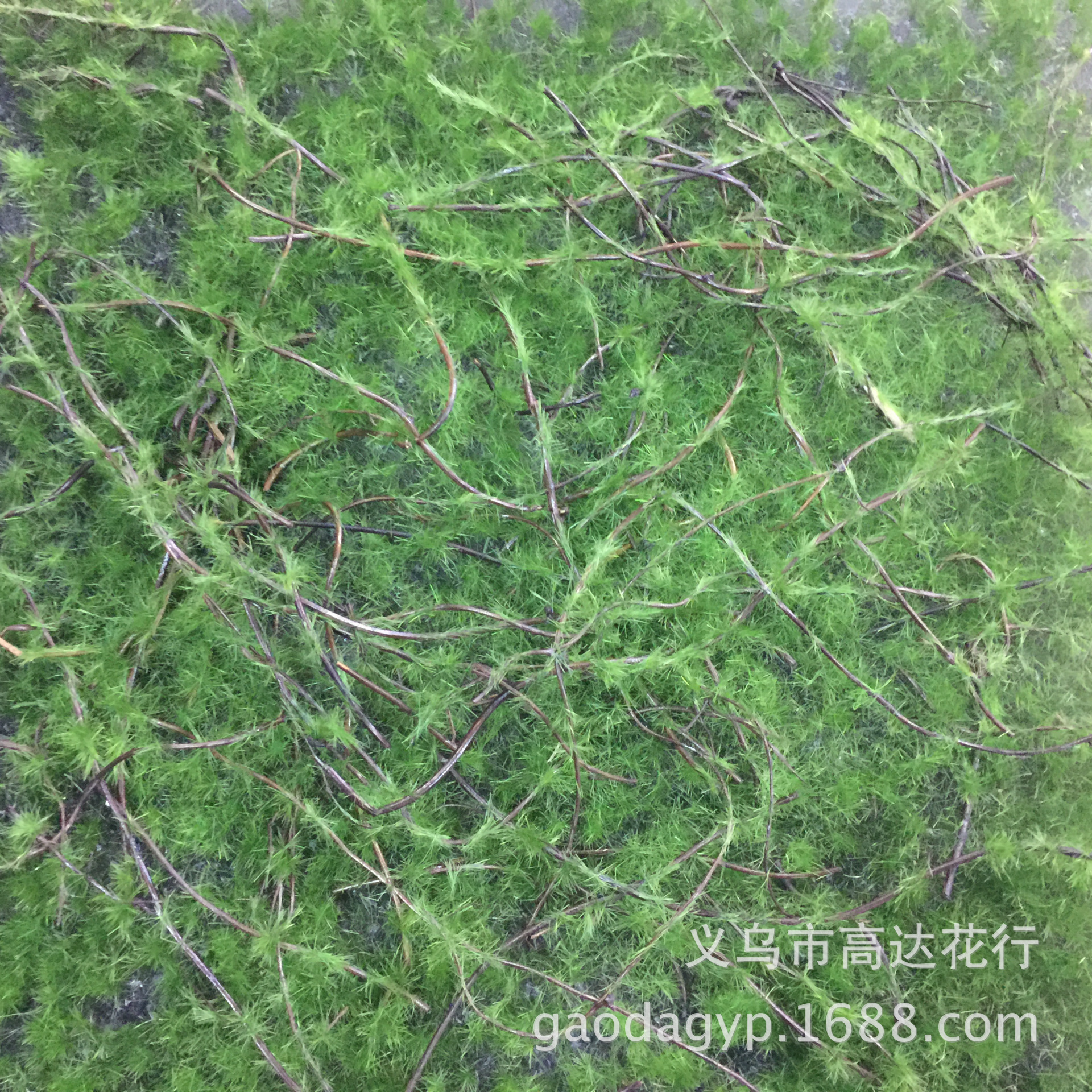 Artificial plant wall, moss skin, plant wall, grass decoration, indoor window display decoration, DIY trendy decoration, lawn pic 16