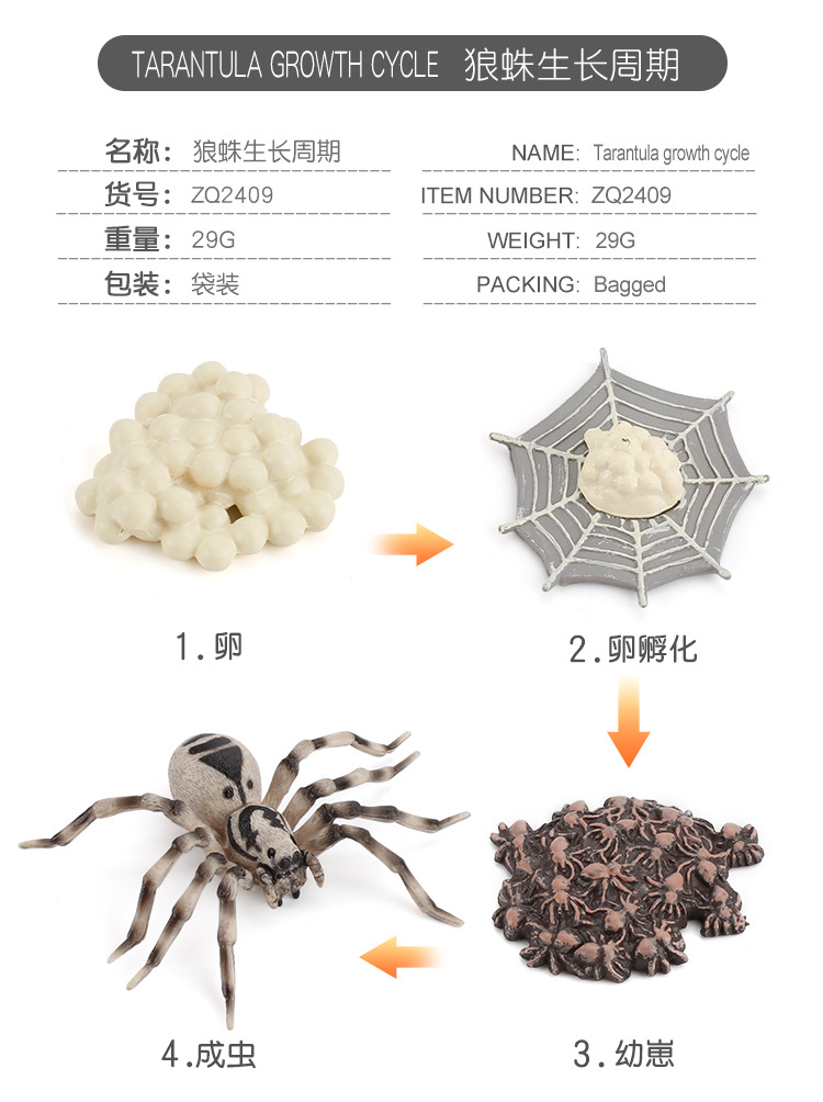 详情_08.jpg