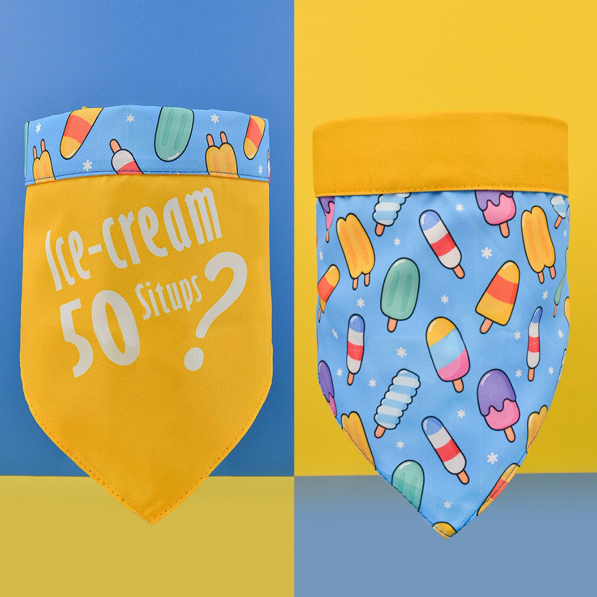 唛迪跨境新品工厂现货批发宠物猫狗项圈脖圈带装饰狗牌两件套代发详情4