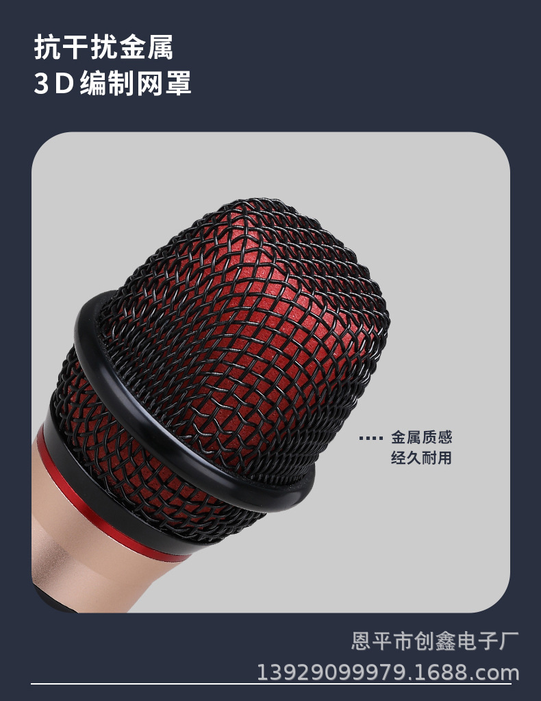 A best-selling karaoke gadget, a multi-purpose dual-microphone combination for car home audio systems pic 4