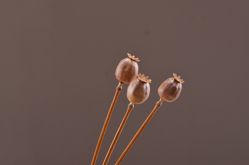 Original factory products, artificial fruits, flower arrangement materials, wabi-sabi style, simple country style, artificial fruits wholesale, artificial flowers pic 14