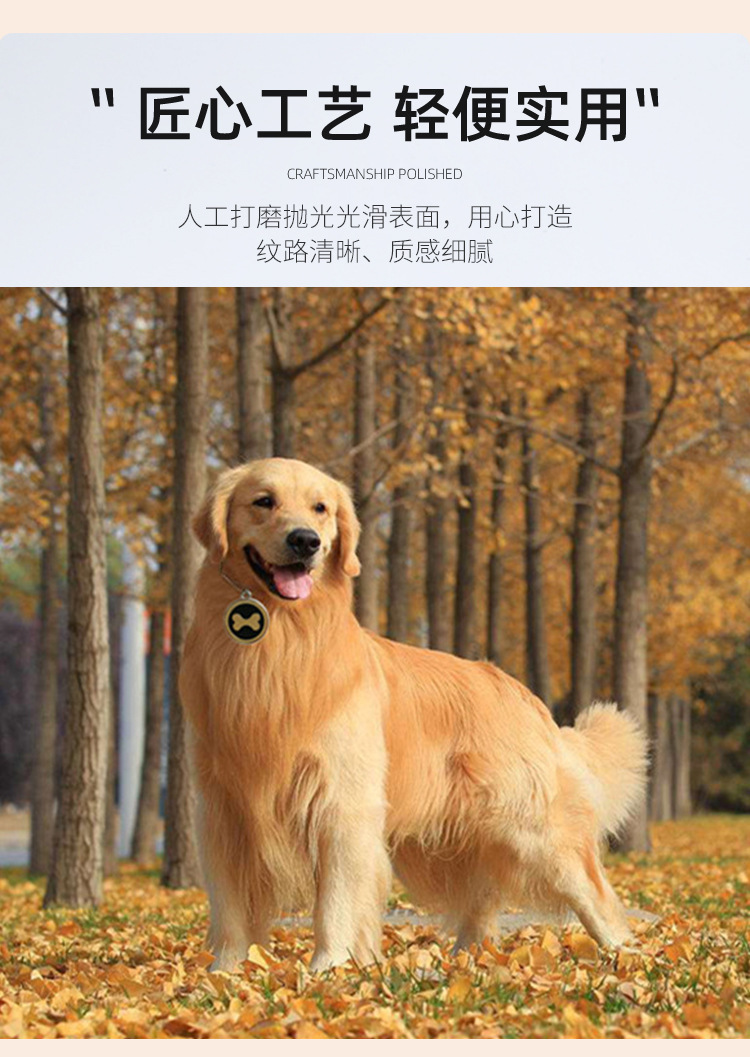 Nueva llegada pet dog footprint colgante dog tag pet tag hueso patrón colgante anti-pérdida id grabable pic 5
