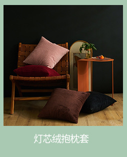 沙发靠枕靠垫抱枕PP棉内芯正方形无纺布磨毛布沙发枕芯厂家供应详情10