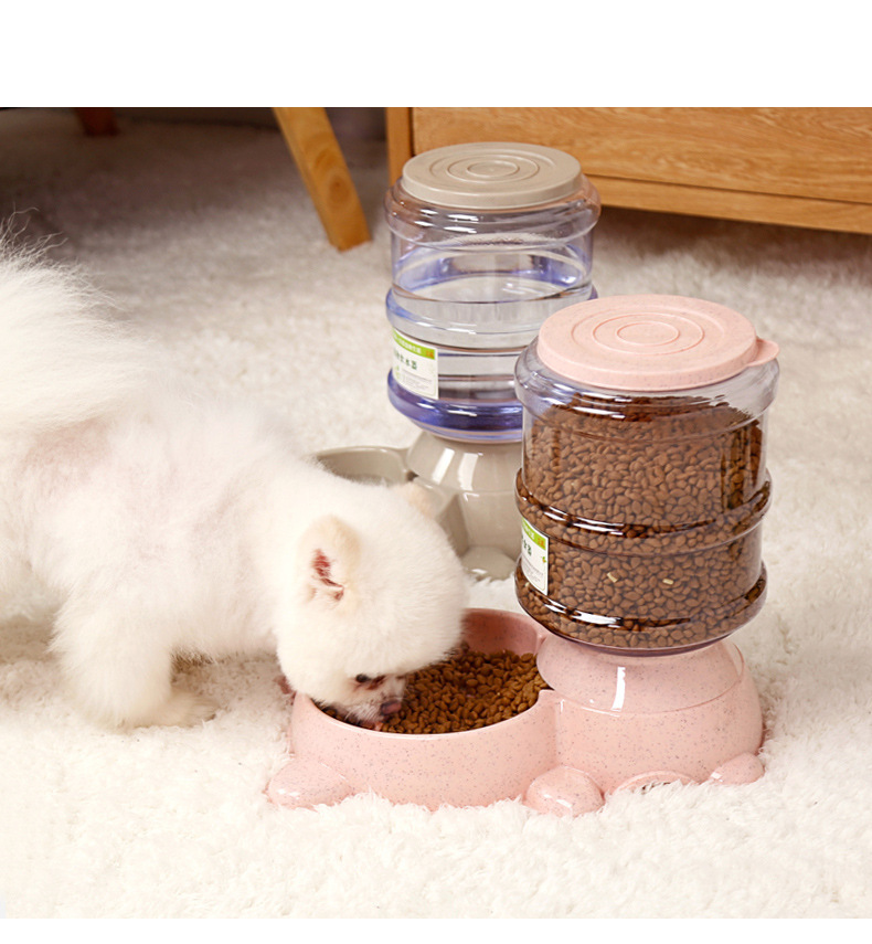 Cute dog and cat pet drinking and feeding automatic device, dog food bowl, Bichon Frise and Teddy drinking products pic 10