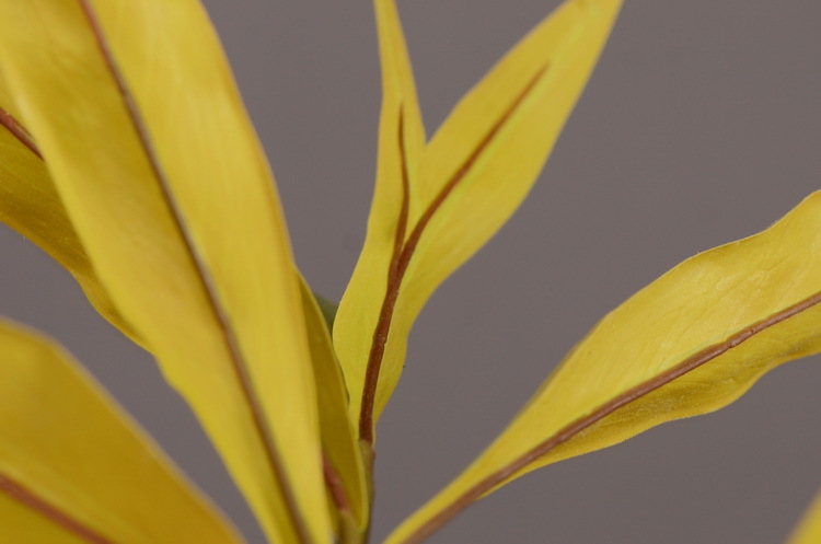 Dongli Flower Industry offers wholesale of artificial double-sided leaves, antler leaves, silver birch leaves, green plants, artificial green plants, indoor living room soft decoration, flower arrangement and matching materials pic 20