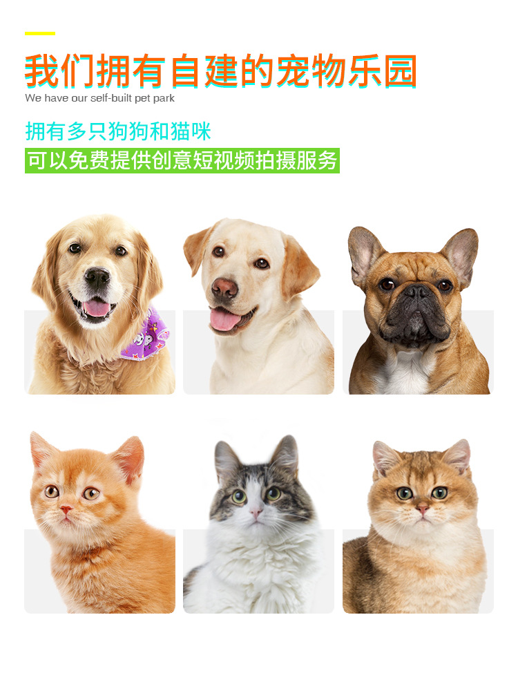 Fábrica de productos para mascotas inicio empresa al por mayor nuevo estilo explosivo amazon drain food slow food dog intellect puzzle toys pic 48
