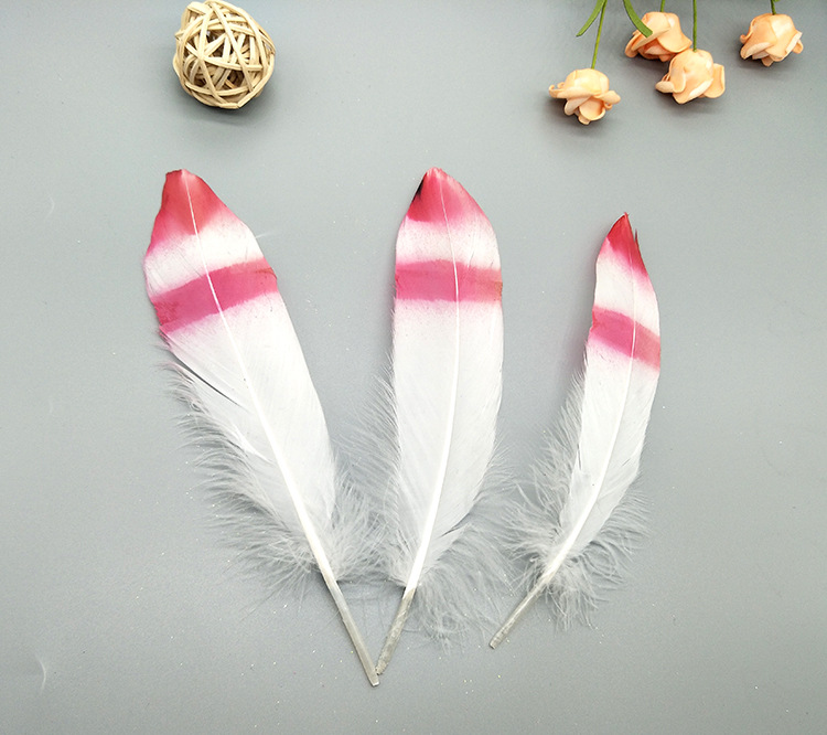 A large quill feather gift box with all-gold and all-silver feathers, paper card bookmarks and decorative quill pens pic 72