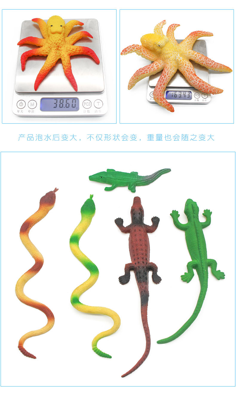 创意海洋生物吸水膨胀玩具泡水变大 水精灵  新奇特出口热销玩具详情6