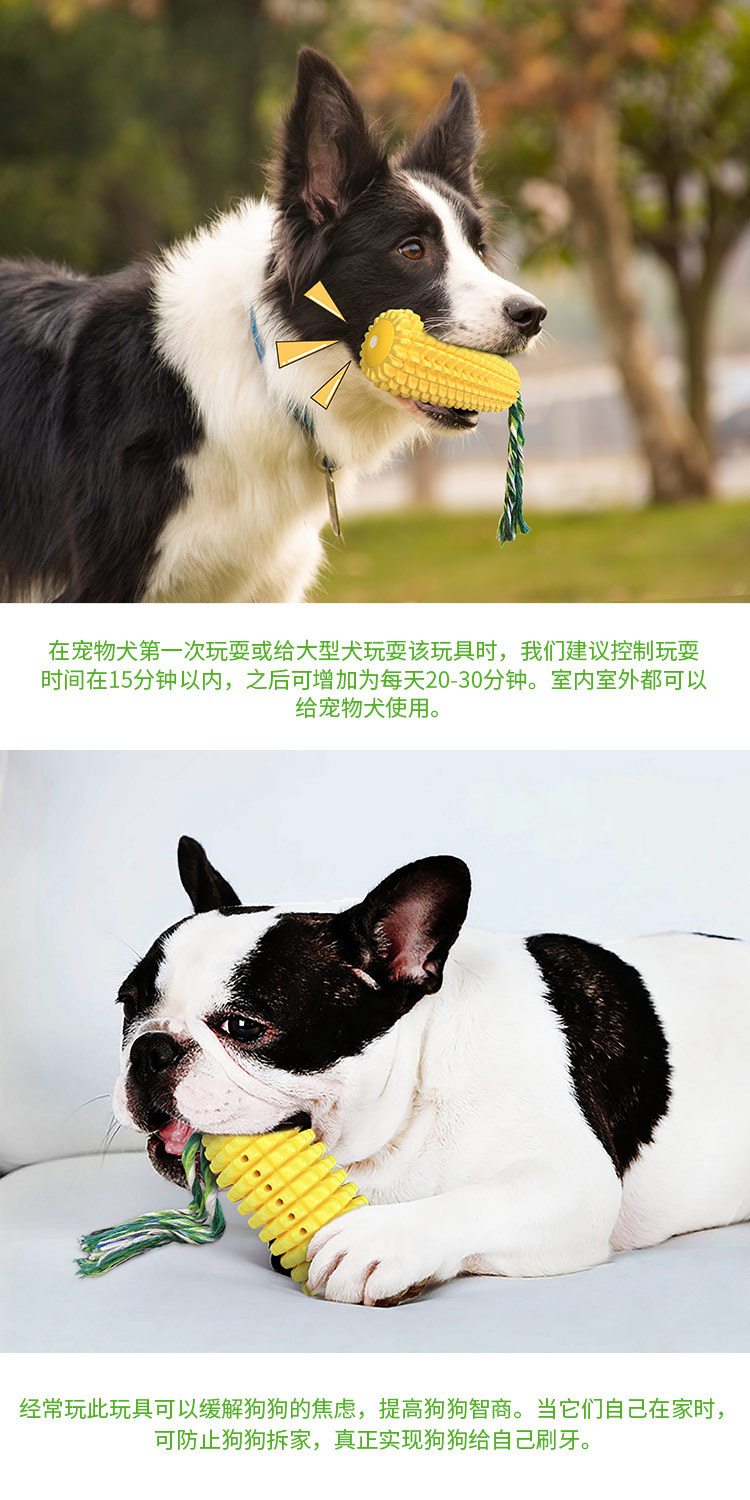 Amazon, a pet supplies manufacturer, offers floating dog teething sticks, sound-making dog toys, and pet toothbrushes pic 35