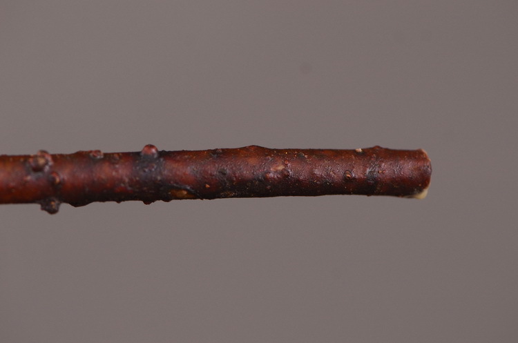 Factory direct sales, wholesale of in-stock inventory of artificial large needle cushion flowers, artificial flower sets, wholesale of living room, dining table, entrance hall, desktop decoration, flower arrangement and ornaments pic 30