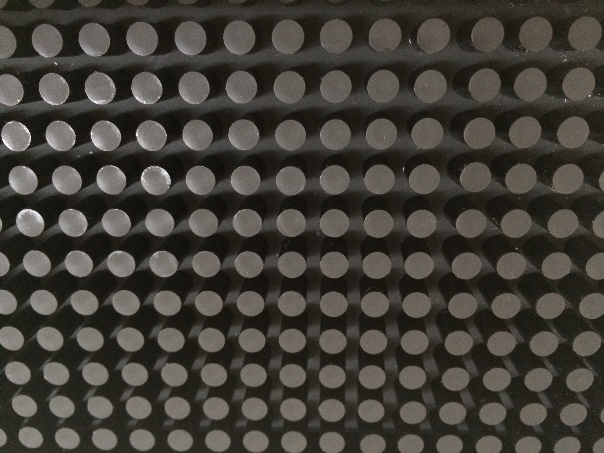 3184019919_1885233361