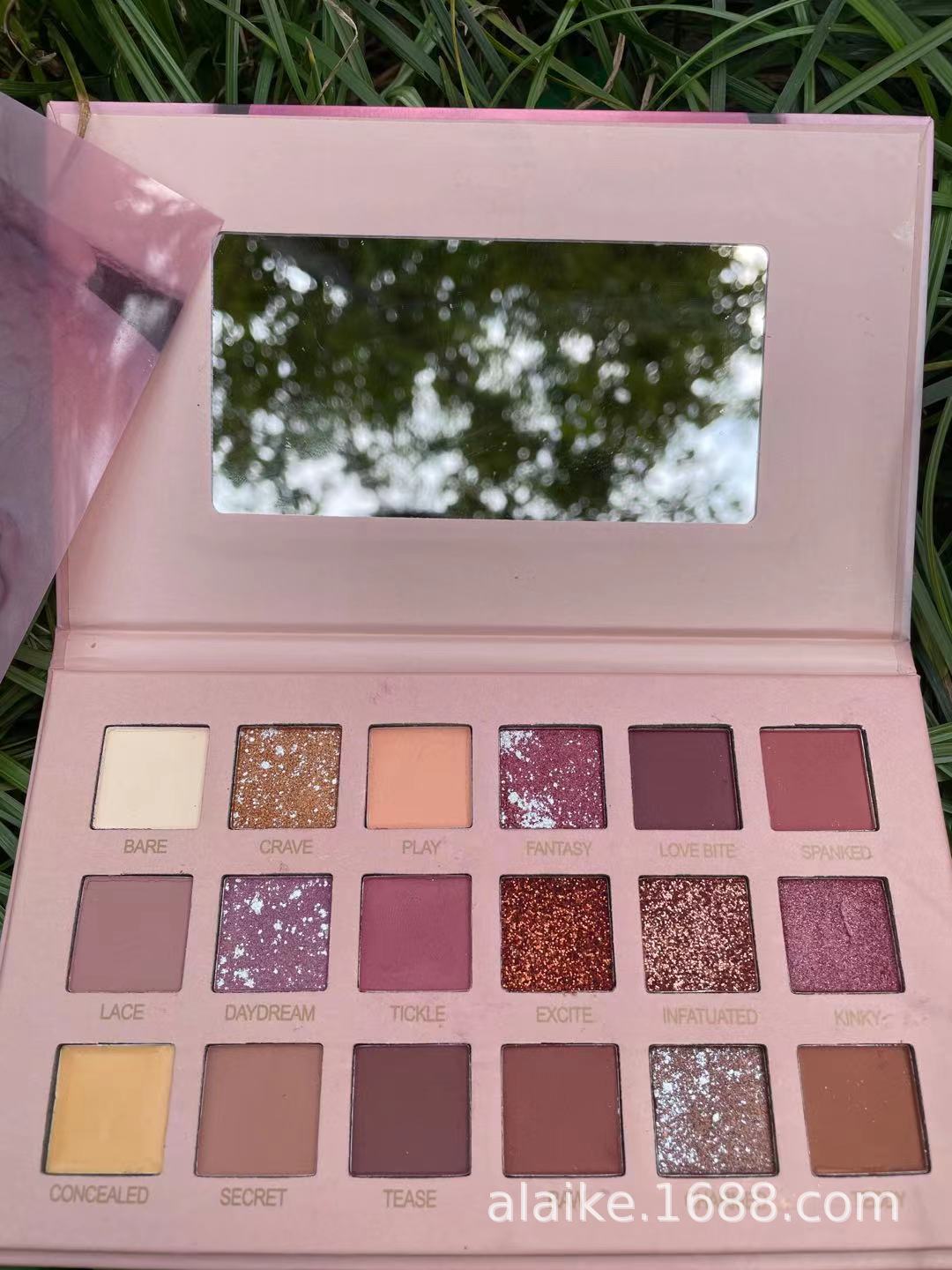 New foreign trade cross-border version without logo, 18-color desert rose eye plate, pearl pumpkin color, earth tone without smudging pic 3