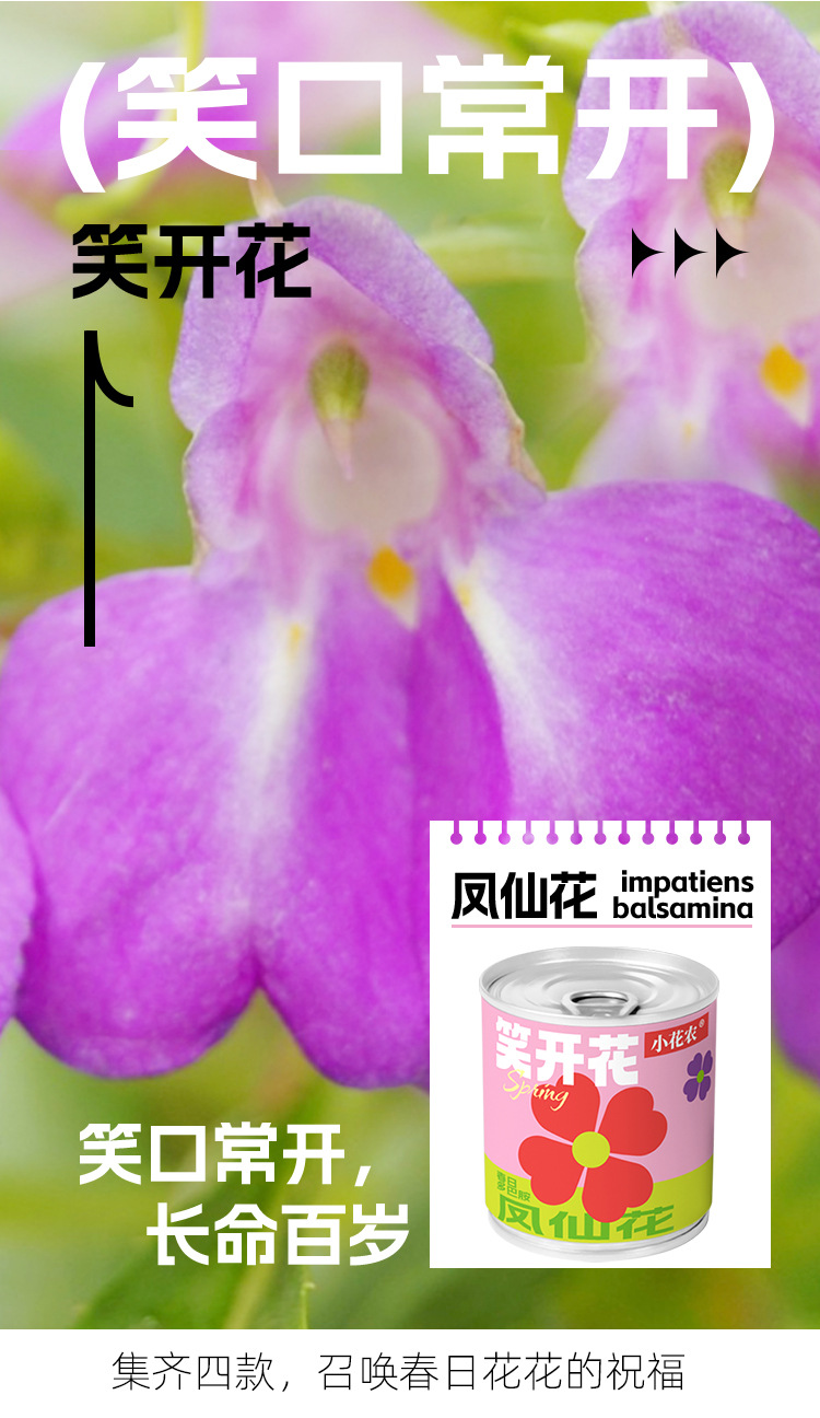 小学生科教玩具春天儿童种植迷你小盆栽花卉室内桌面种花易拉罐头详情13