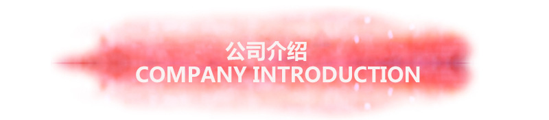 厂家跨境亚马逊狗绳尼龙自动伸缩宠物牵引绳宠物用品详情29