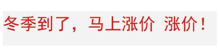 仿水貂绒毛衣女针织202秋冬洋气韩版宽松加厚打底衫内搭长袖上衣详情1