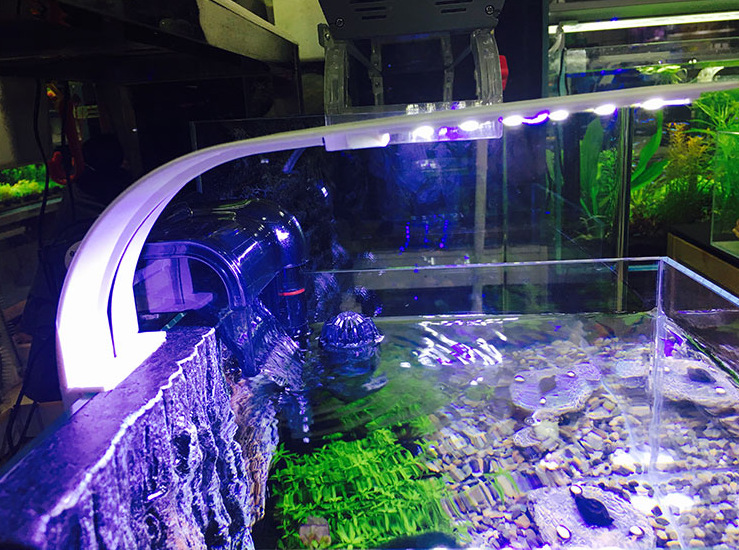 Aquarium Fish Tank X5 Small Clamp Lamp Ultra-thin LED fish tank lighting High-brightness glass tank Black and white aquatic plant lamp pic 8