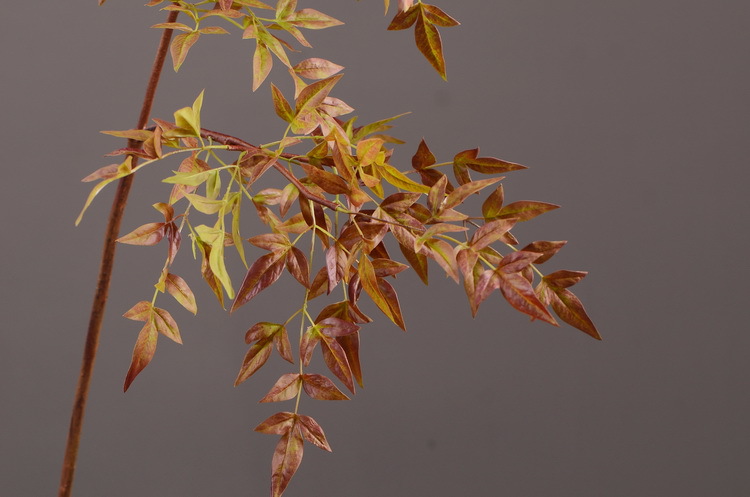 Dongli Source Factory, wholesale and direct sales of artificial plants in stock, wholesale of India leaves, autumn color leaves, hand-held flowers, leaf materials, props, flower art, bonsai, home decoration flowers pic 18