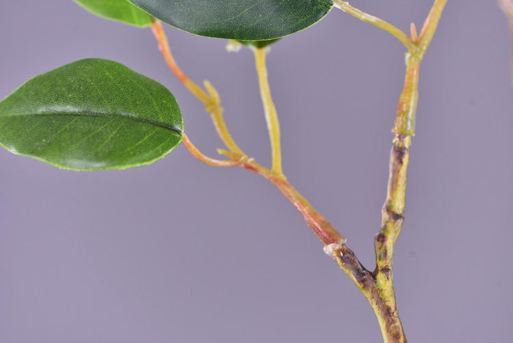 Wholesale of artificial large-branch banyan tree leaves from the original factory for window display, decorative green plants and flower arrangement leaves pic 8