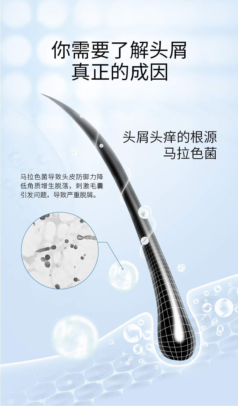 Factory wholesale anti-dandruff shampoo, nourishing oil control shampoo, perfume control, refreshing fragrance shampoo pic 4