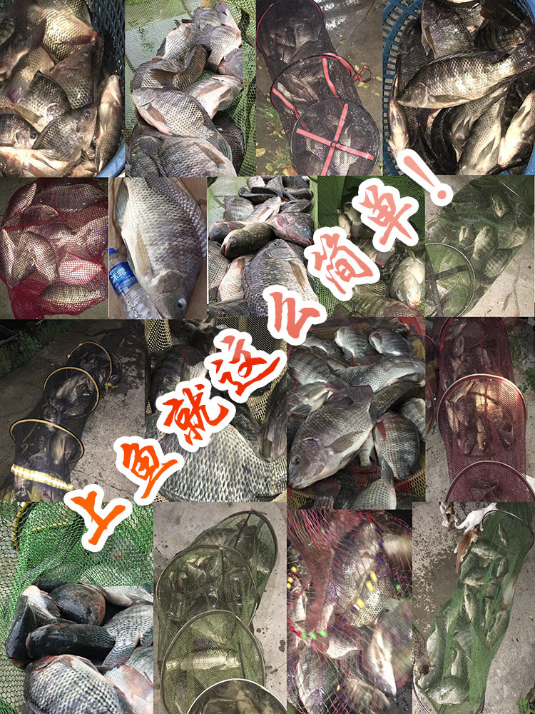 渔获