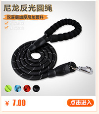 T has 50 types of pet supplies in stock, including fashionable dog ties, bow ties, bells, large bows, and starry bell collars pic 5