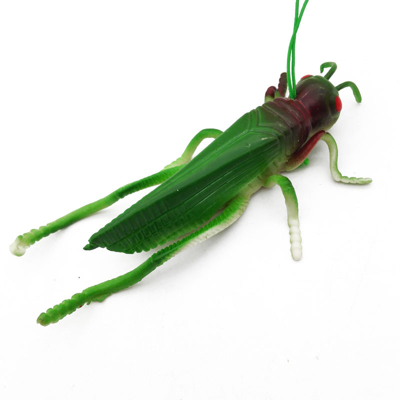 B1545 simulated grasshopper street stall intimidation and prank toys are available for wholesale at 2-yuan stores in Yiwu pic 4