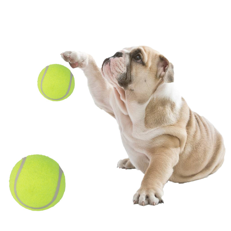 Pet tennis toys, micro-elastic rubber balls, dog biting and throwing training interactive tennis toys, training supplies pic 3