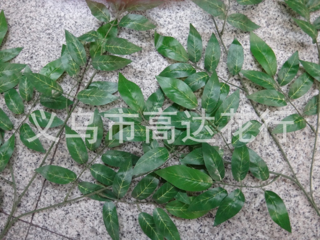 仿真豆花花枝豆花叶子 仿真榕树叶 仿真树叶金色榕树叶仿真紫藤枝详情13