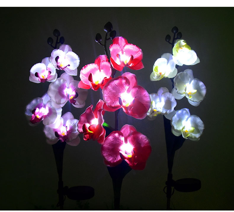 Cross-border solar lamps, simulated flower Phalaenopsis, ground insert lamps, outdoor courtyard lamps, landscape, festival and garden decorations pic 18