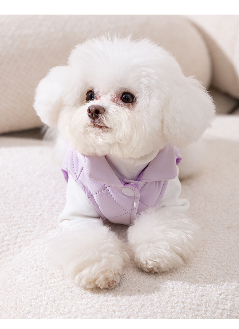 秋冬款小狗狗衣服加厚马甲泰迪比熊小型犬可牵引猫咪宠物保暖服装详情11