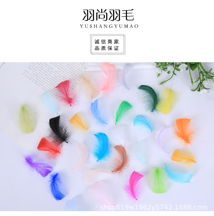 厂家直销优质天鹅毛 DIY彩色小飘羽毛 舞台服饰装饰辅料羽毛批发详情1