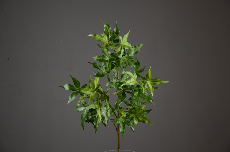 Factory wholesale of artificial flowers, direct sales from the manufacturer, wholesale of artificial green plants, home decoration flowers, red artificial leaves, artificial maple leaves pic 30