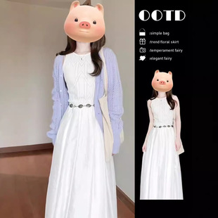 A new Chinese-style long-sleeved shirt set for women in spring and autumn, with a cool and Zen-like atmosphere. A two-piece skirt and trousers set pic 25