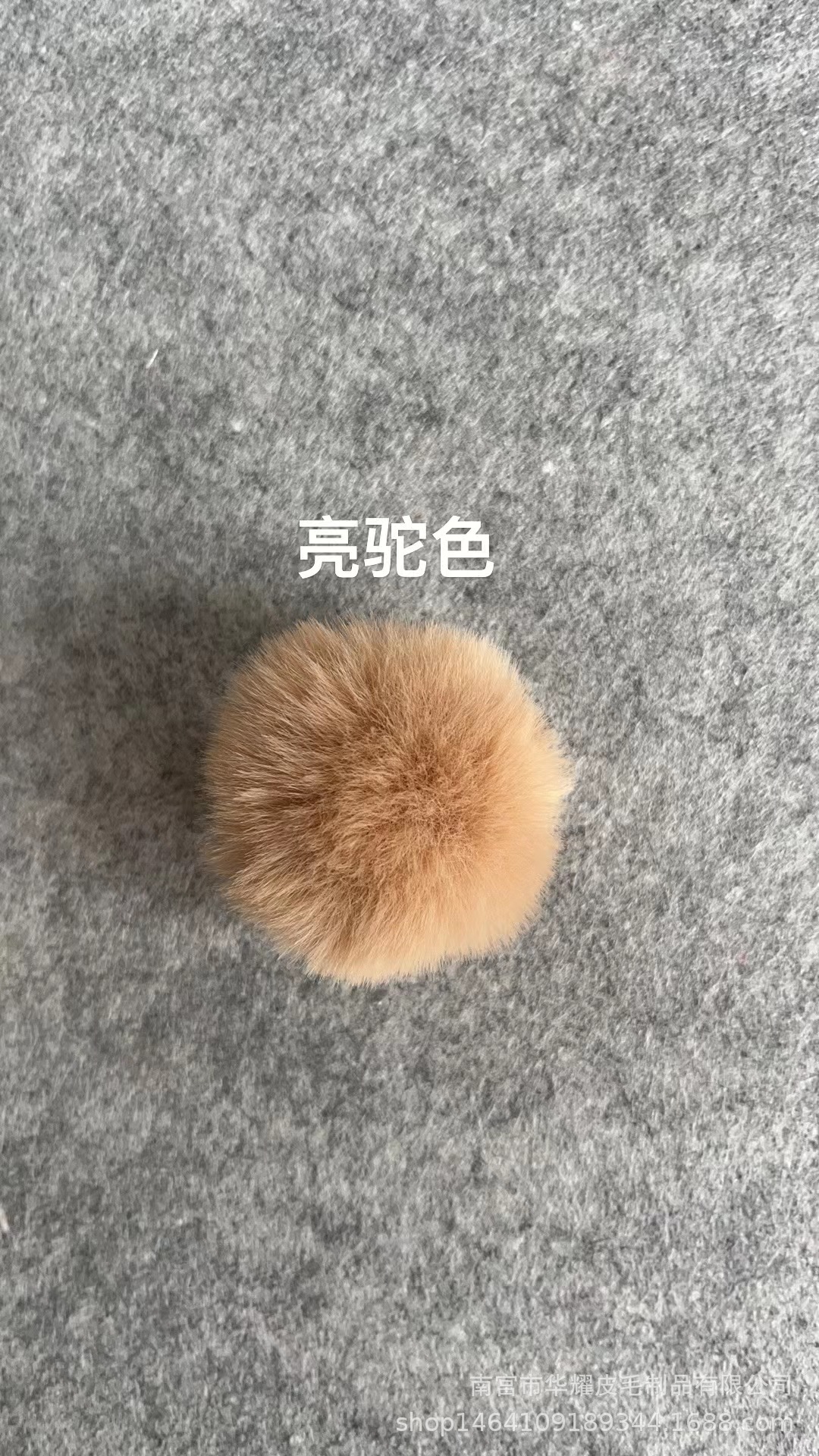 微信图片_20230419153012