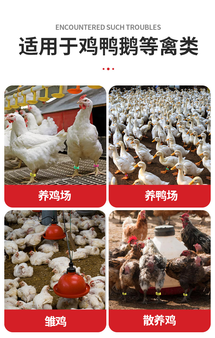 0.1鸡脚环卡扣式鸭鹅禽类可调脚环记号识别环大小鸡通用塑料标签脚圈详情7