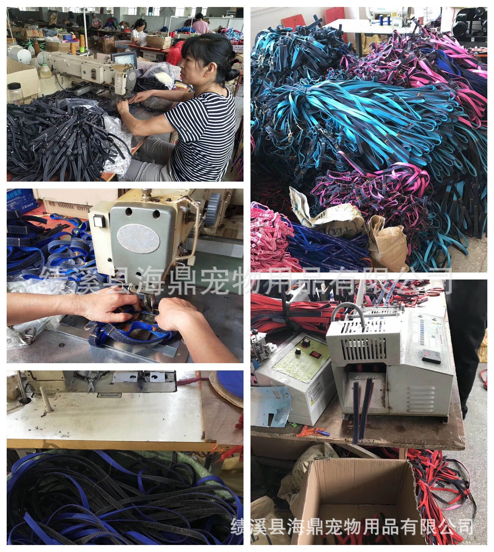 Pet leash collar, large and medium-sized dog eight-strand leash, dog braided leash, dog leash pic 12