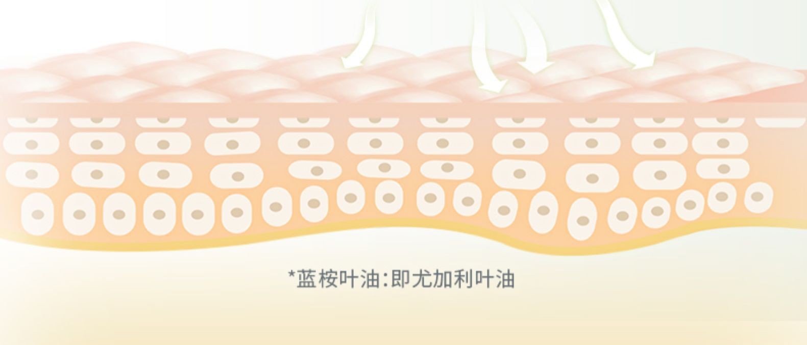 Runben Mosquito Bite Relief and Itch Relief Stick for Children, Pregnant Women, Mosquito Bites, Zicao Ointment, Baby Mosquito Bite Itch Relief Stick 7g pic 26