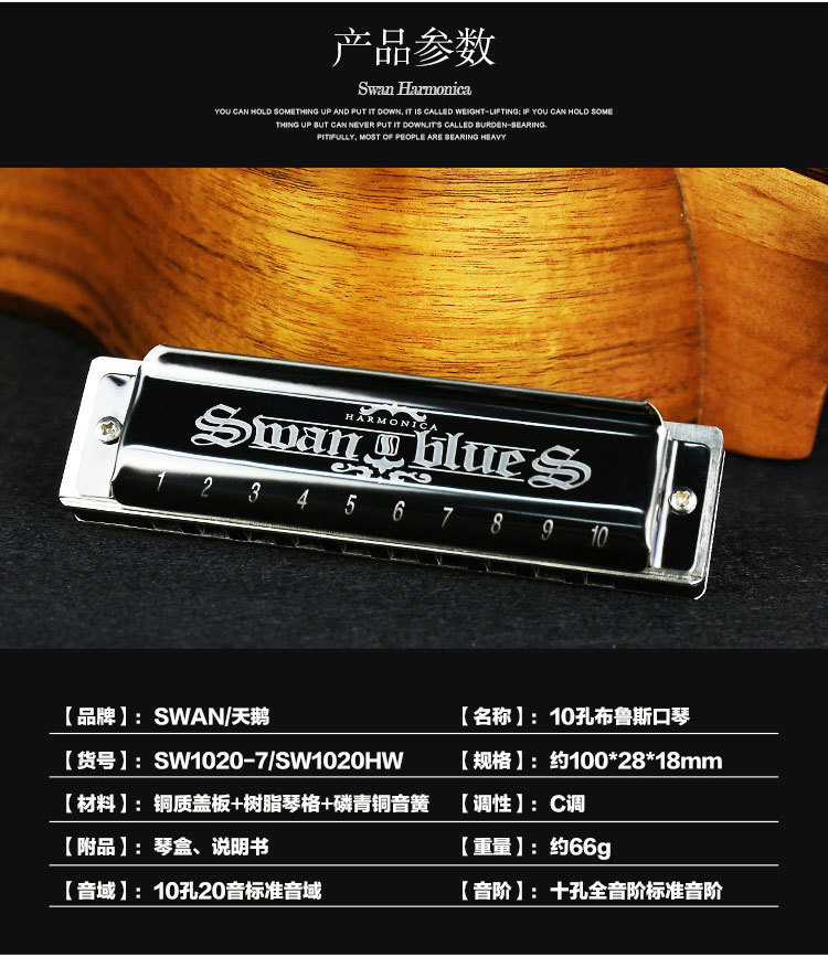 正品天鹅银色口琴10孔C调布鲁斯口琴初学演奏十孔口琴详情1