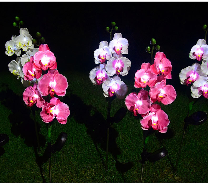 Cross-border solar lamps, simulated flower Phalaenopsis, ground insert lamps, outdoor courtyard lamps, landscape, festival and garden decorations pic 22