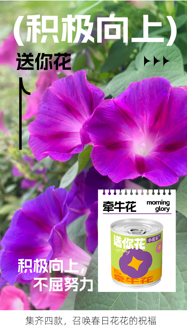 小学生科教玩具春天儿童种植迷你小盆栽花卉室内桌面种花易拉罐头详情10