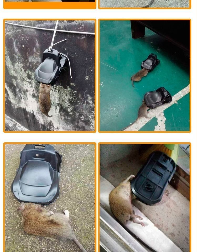 Rat trap, household rat killer, clip, fully automatic one-nest, end trap, sticky rat board, tear and stick, tear and stick, others pic 17