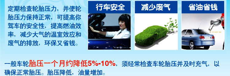 erica HONOR汽车打气筒6138B车载充气泵12V耐用配件脚踩打气详情4