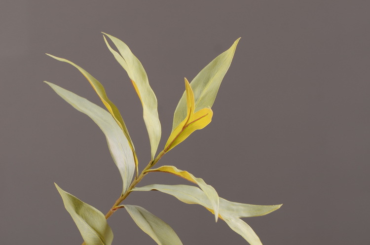 Dongli Flower Industry offers wholesale of artificial double-sided leaves, antler leaves, silver birch leaves, green plants, artificial green plants, indoor living room soft decoration, flower arrangement and matching materials pic 16