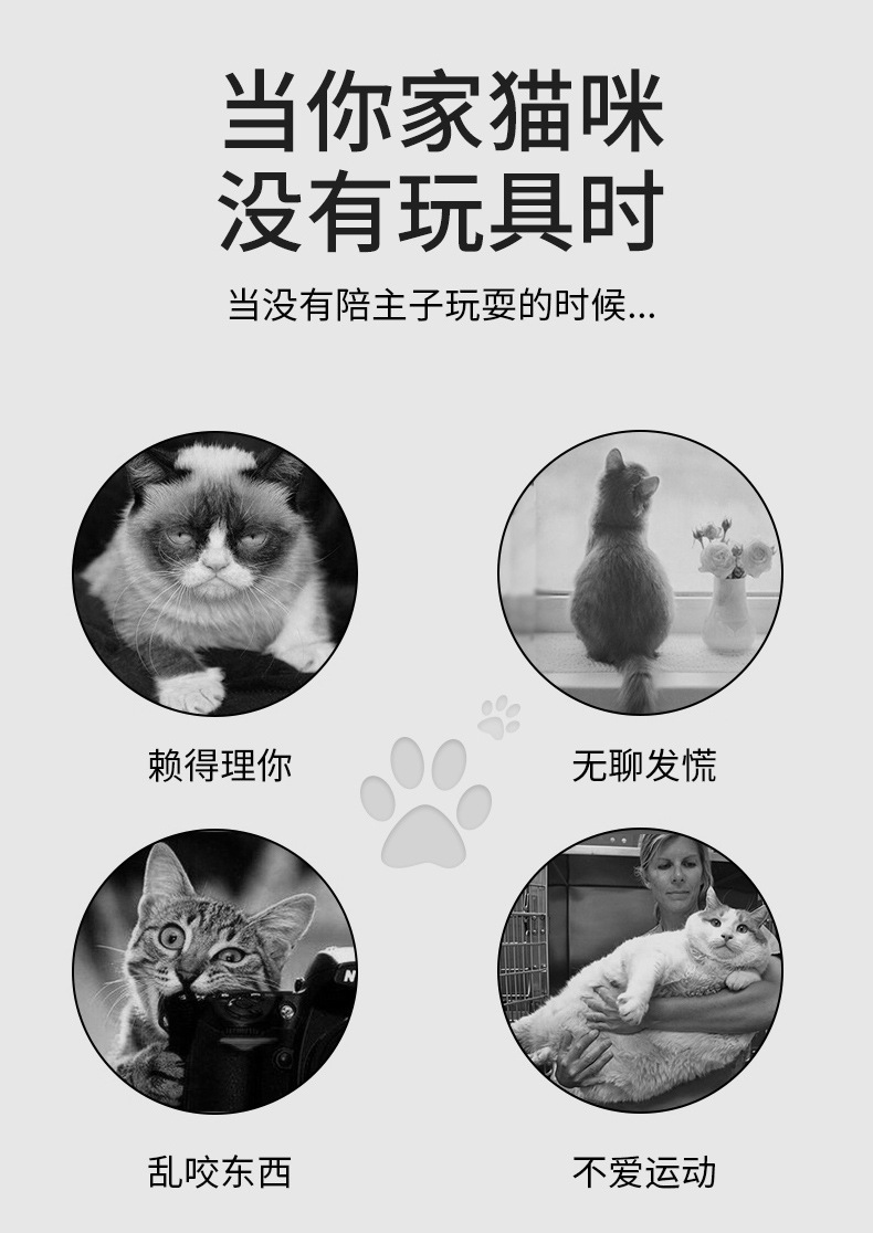 USB直充不锈钢迷你充电手电激光图案紫光逗猫棒猫癣自嗨猫咪用品详情4