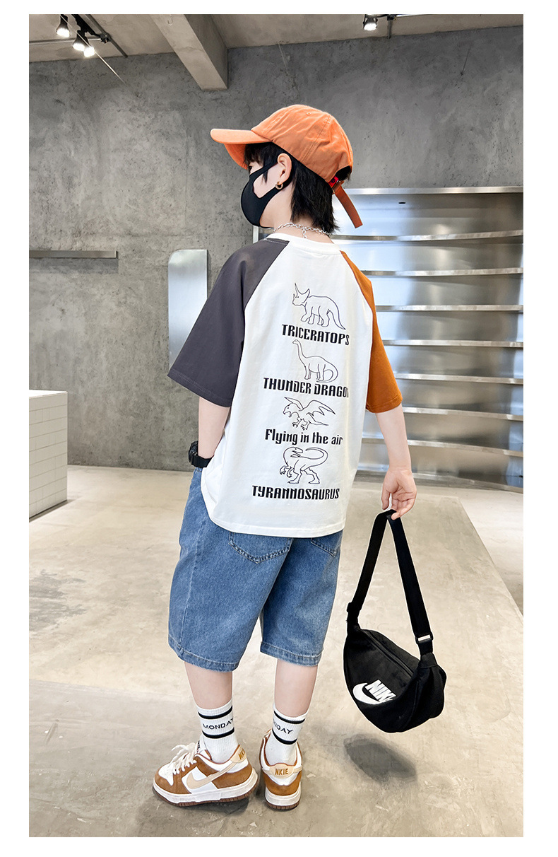 大男童夏装短袖t恤夏季薄款全棉2024新款儿童夏季半袖体恤帅气潮详情8